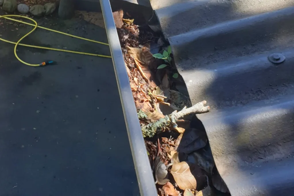 Gutters before a gutter cleaning job was done by Waterboy Washing in Tauranga